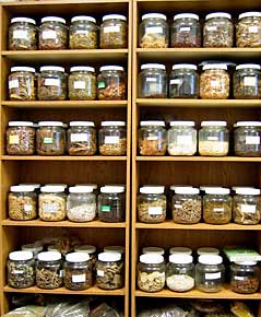 Austin Herbal Pharmacy